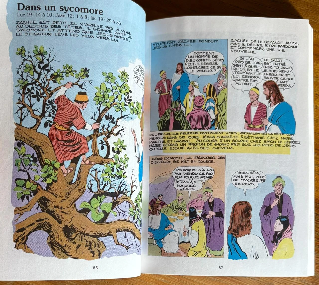 The new testament in comics by Iva Hoth (Paperback) – photo 9